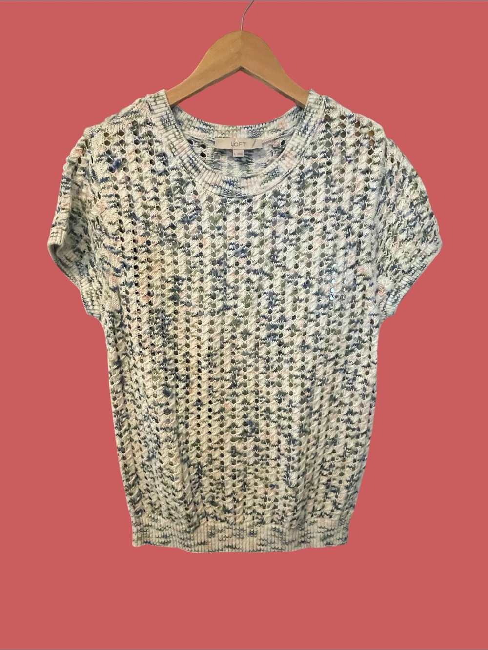 Loose knit LOFT sweater T